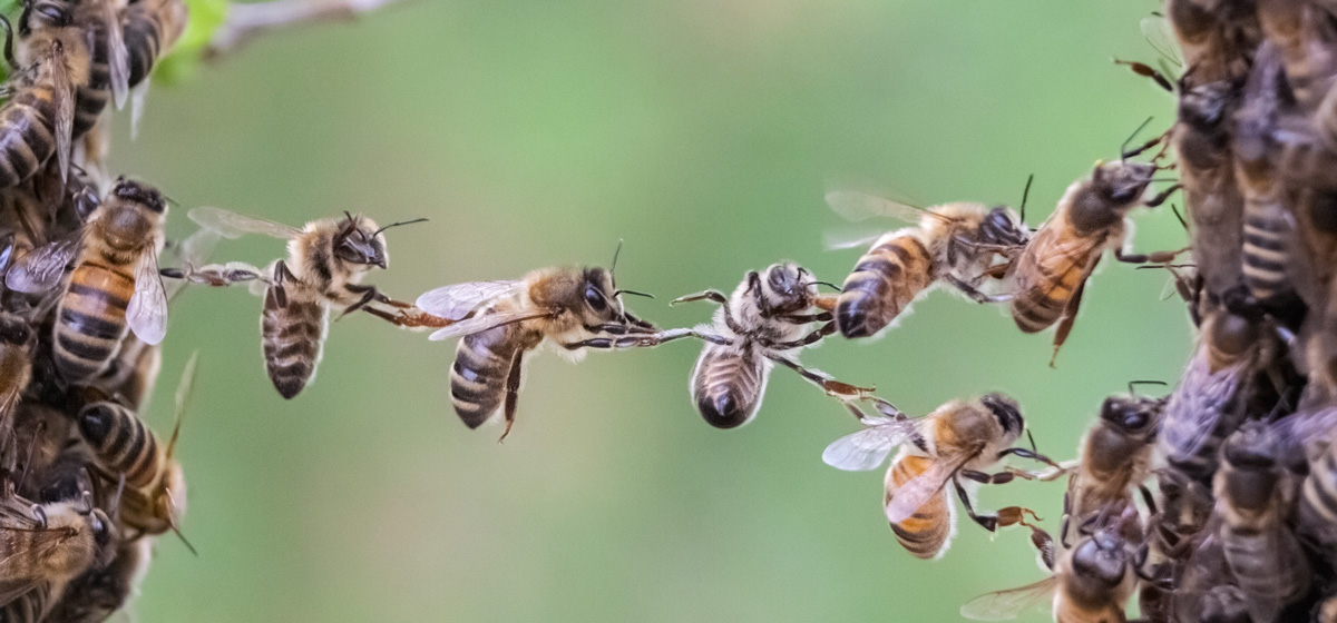 Abenteuer Erlebnis - Teambuilding